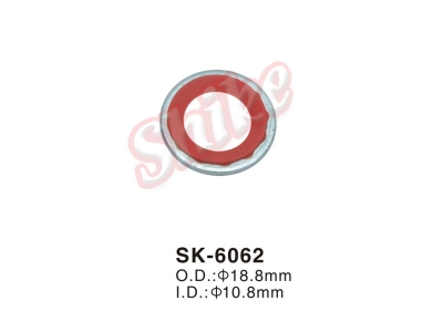 SK-6062