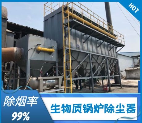 生物質(zhì)鍋爐除塵器