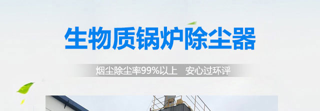 生物質(zhì)鍋爐除塵器(圖2)